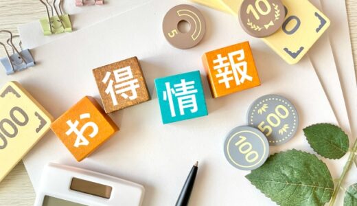 年末年始の航空券を最大50%OFF！繁忙期でも安く買う8つの裏技